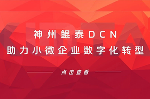 鸿越资本DCN助力小微企业数字化转型